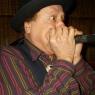 SCHEEBO BLOWS the harmonica!